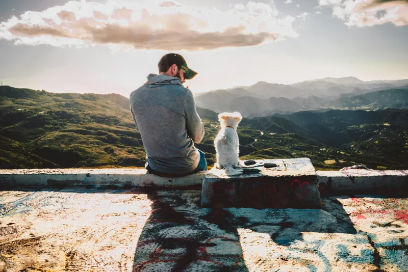 Signs Your Dog Loves You (According to Science and Common Sense)
